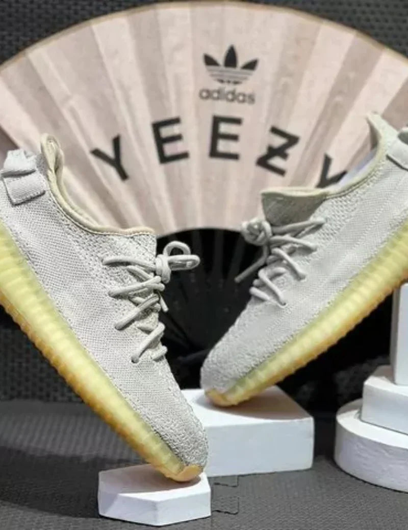 Adidas Yeezy 350 V2