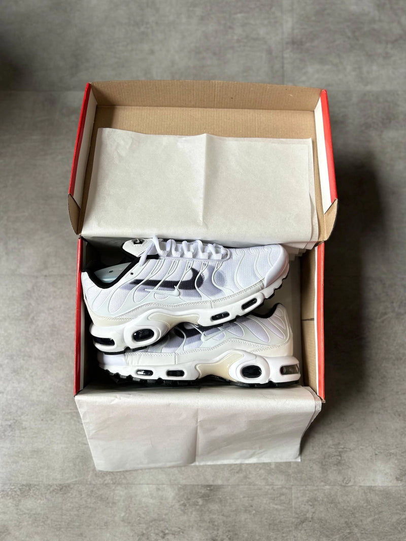 Air Max TN Bicolor